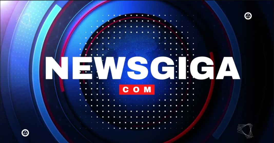 newsgiga com Review: Features, Insights and Growth Potential Guide